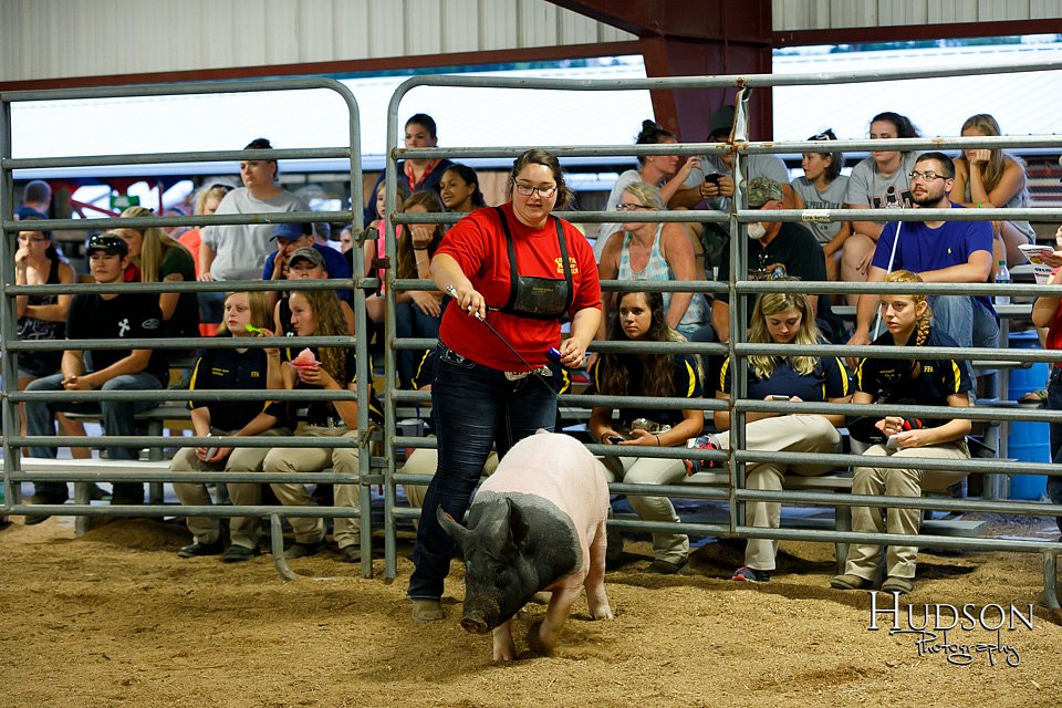 LCFAIR17-6465.jpg