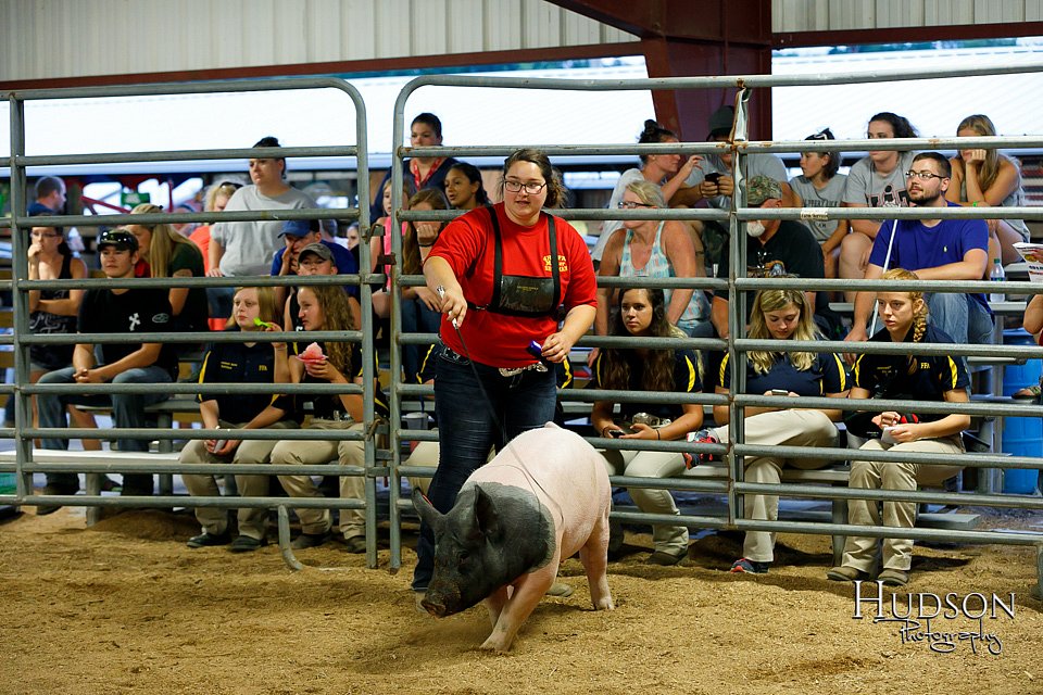 LCFAIR17-6466.jpg