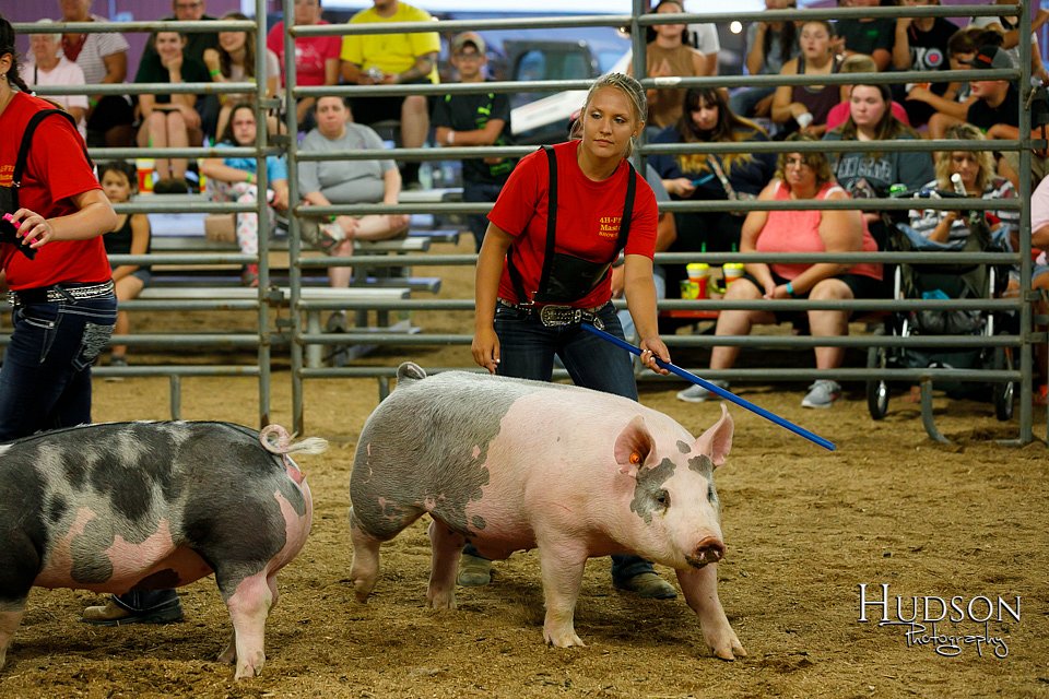 LCFAIR17-6474.jpg