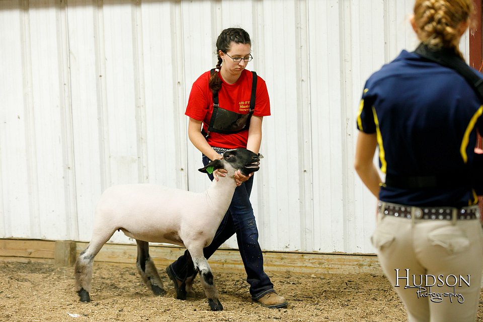 LCFAIR17-6659.jpg