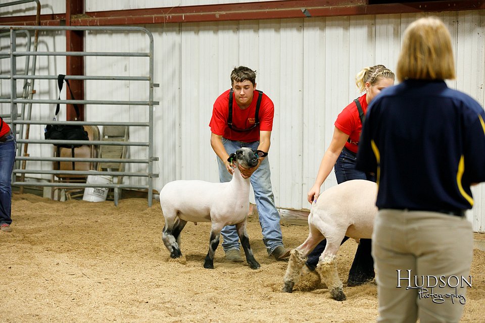 LCFAIR17-6663.jpg