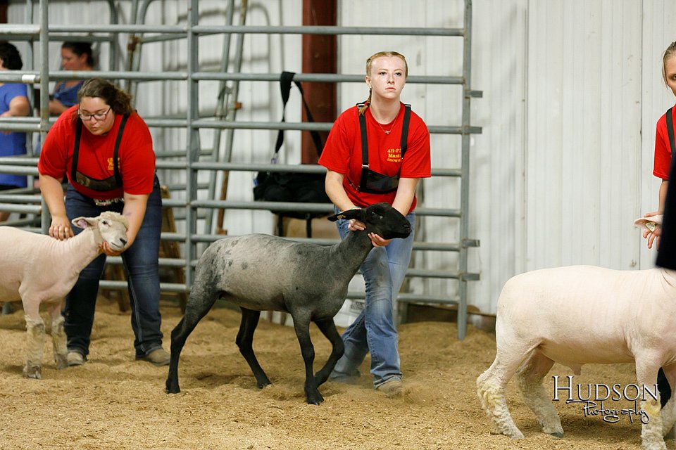 LCFAIR17-6666.jpg
