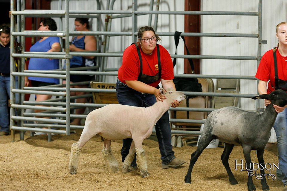 LCFAIR17-6667.jpg