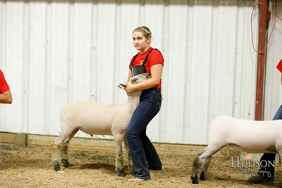 LCFAIR17-6668.jpg