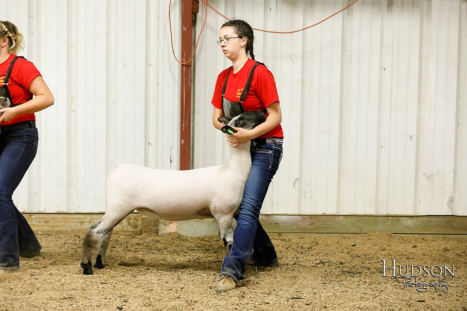 LCFAIR17-6674.jpg