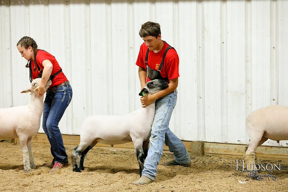 LCFAIR17-6676.jpg