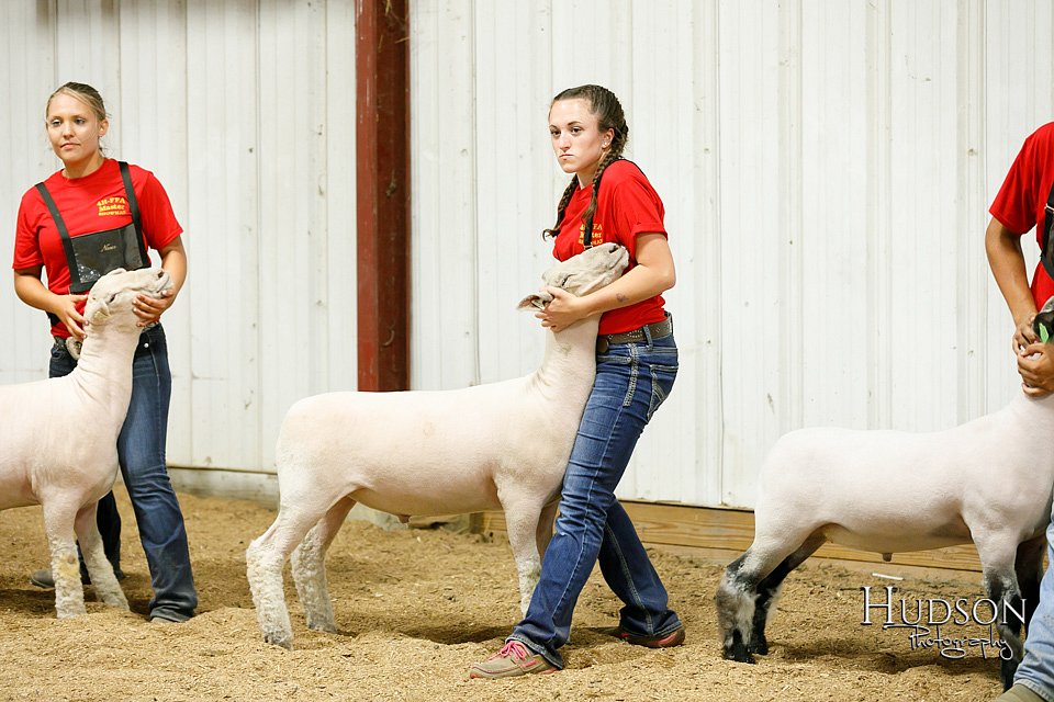 LCFAIR17-6677.jpg