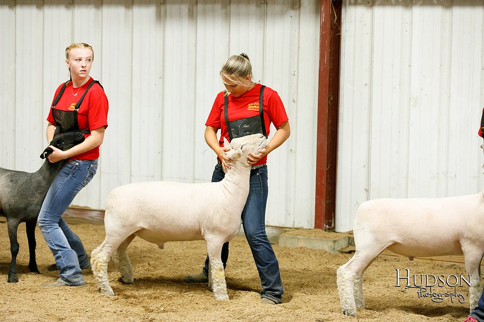 LCFAIR17-6678.jpg