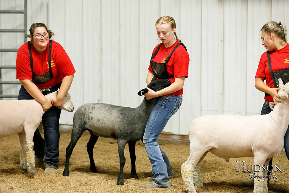 LCFAIR17-6679.jpg