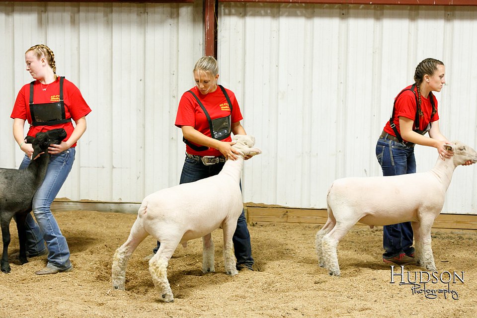 LCFAIR17-6686.jpg
