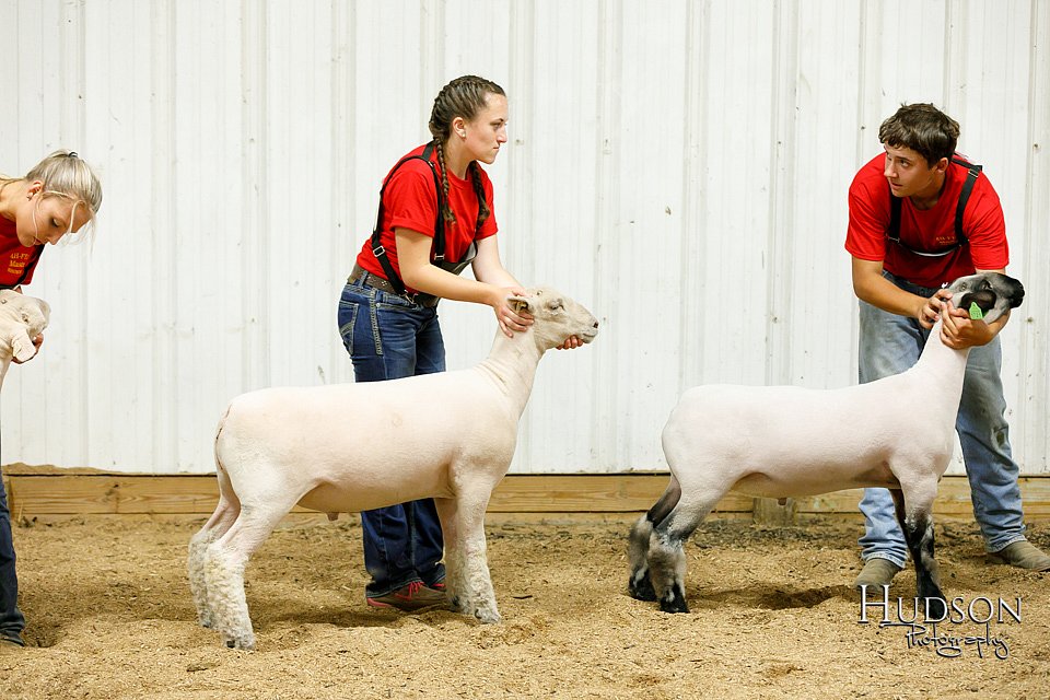 LCFAIR17-6687.jpg