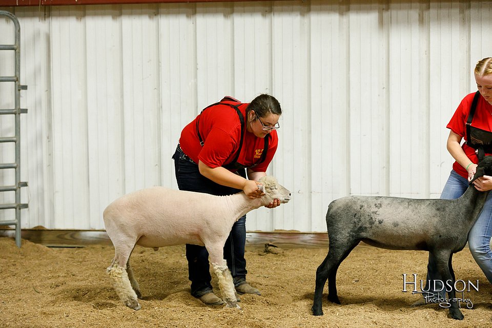 LCFAIR17-6689.jpg