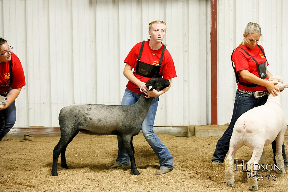 LCFAIR17-6691.jpg