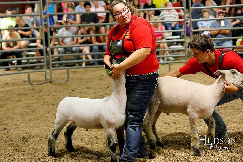 LCFAIR17-6692.jpg