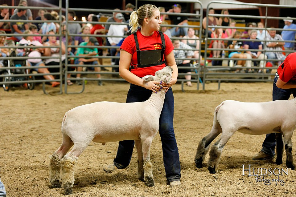LCFAIR17-6697.jpg