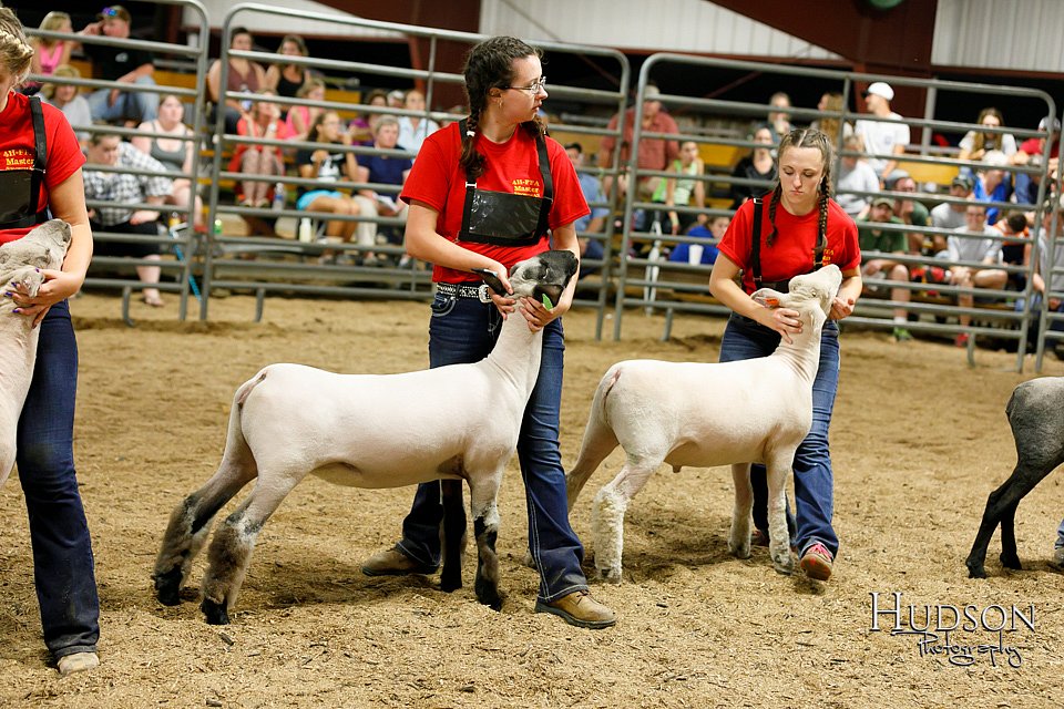 LCFAIR17-6698.jpg