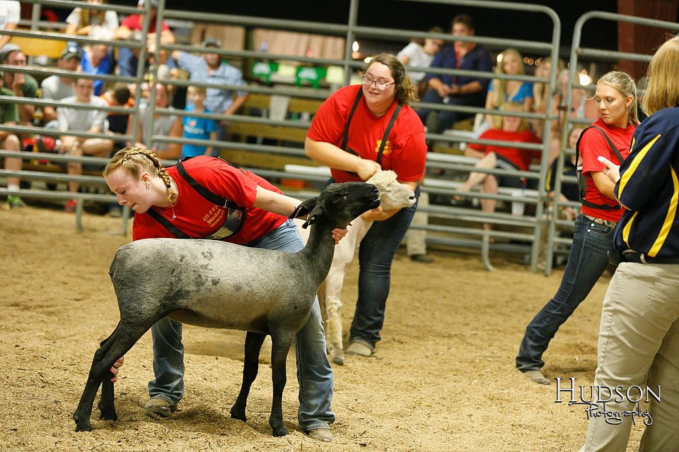 LCFAIR17-6699.jpg