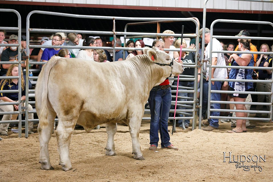 LCFAIR17-6710.jpg