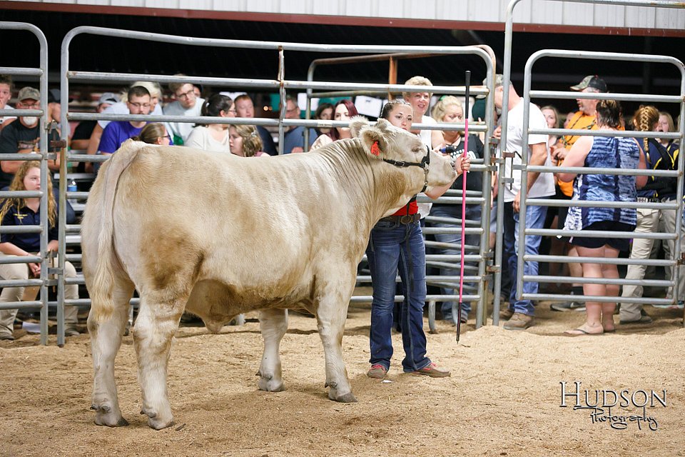 LCFAIR17-6711.jpg
