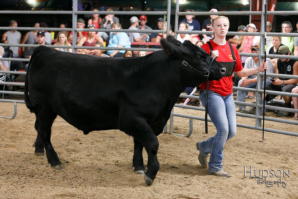 LCFAIR17-6713.jpg