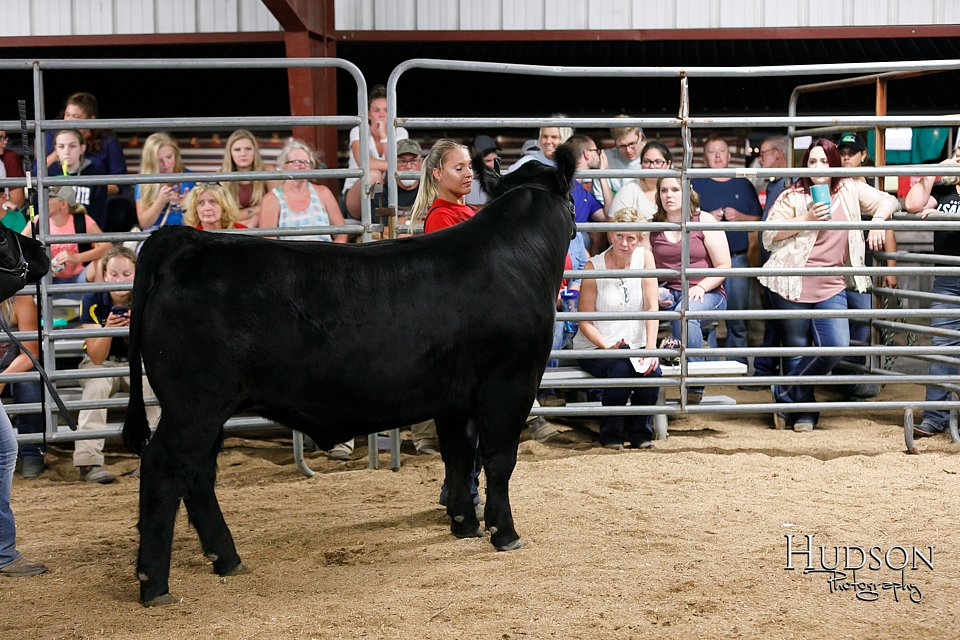 LCFAIR17-6716.jpg