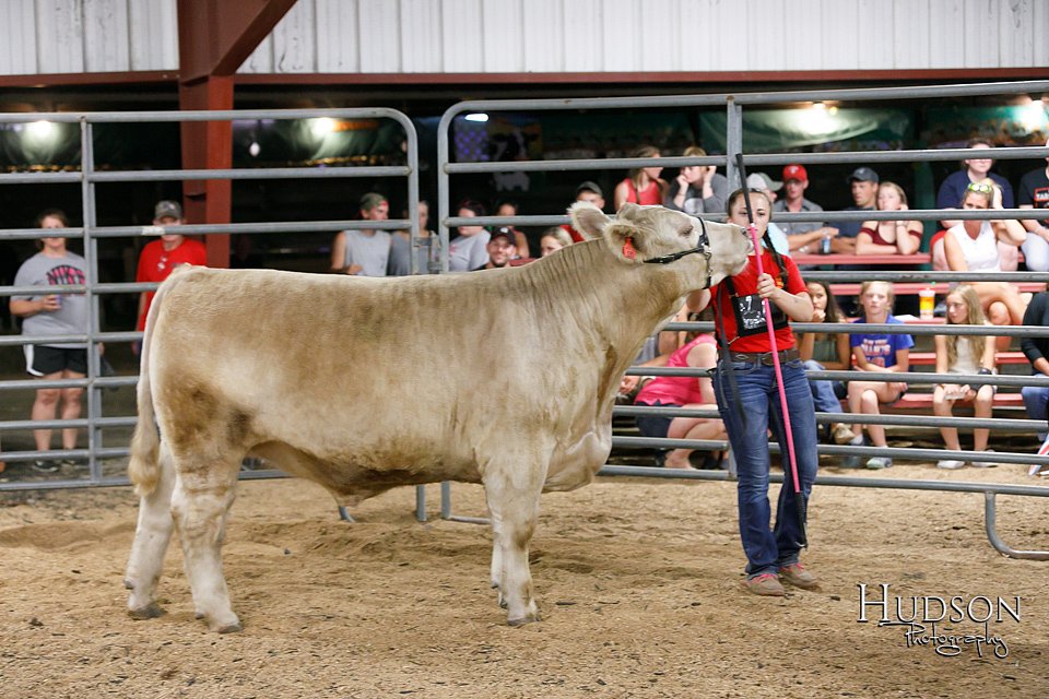 LCFAIR17-6717.jpg