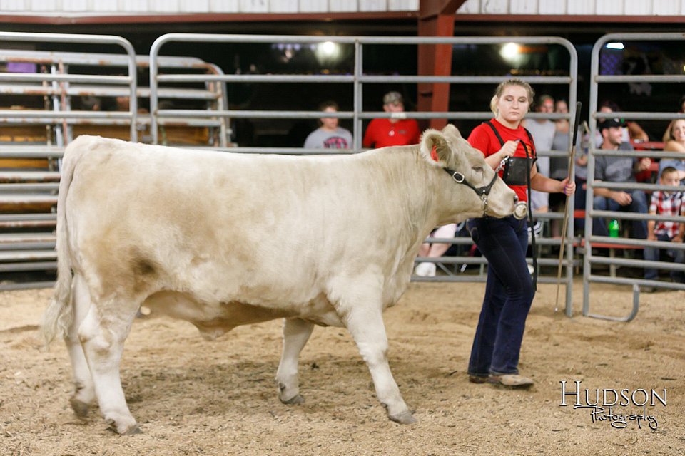 LCFAIR17-6719.jpg