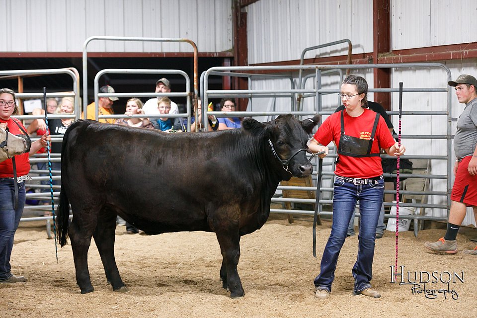 LCFAIR17-6720.jpg