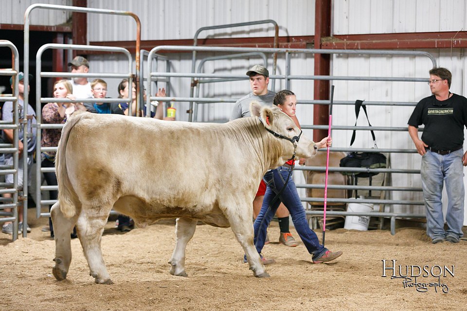 LCFAIR17-6724.jpg