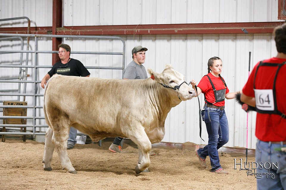 LCFAIR17-6725.jpg