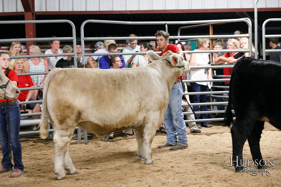 LCFAIR17-6730.jpg