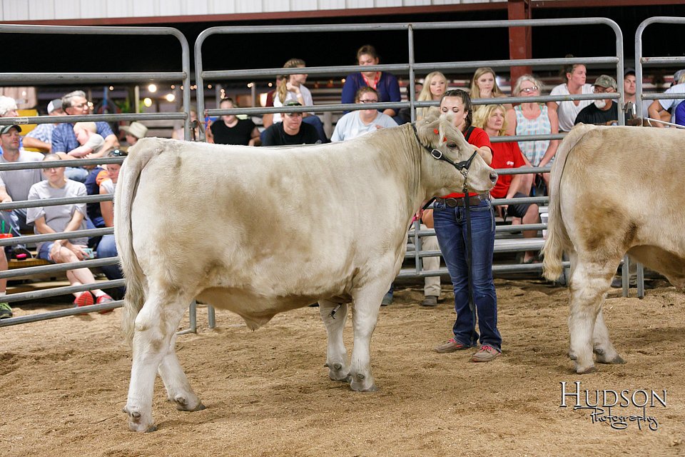 LCFAIR17-6731.jpg