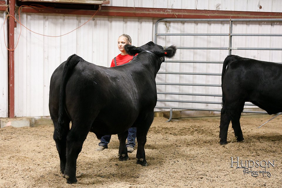 LCFAIR17-6739.jpg