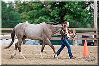 LCFAIR17-6417.jpg