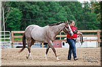 LCFAIR17-6432.jpg