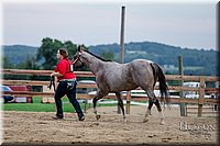LCFAIR17-6434.jpg