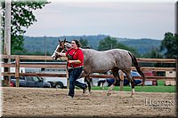 LCFAIR17-6436.jpg
