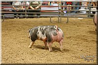 LCFAIR17-6443.jpg
