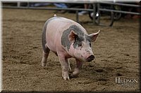 LCFAIR17-6445.jpg