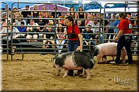 LCFAIR17-6450.jpg