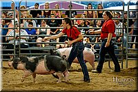 LCFAIR17-6451.jpg