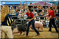 LCFAIR17-6452.jpg