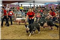 LCFAIR17-6453.jpg