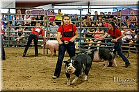 LCFAIR17-6454.jpg