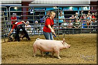 LCFAIR17-6457.jpg
