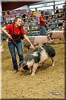 LCFAIR17-6459.jpg