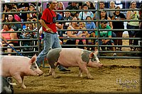 LCFAIR17-6460.jpg