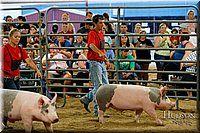 LCFAIR17-6461.jpg