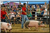 LCFAIR17-6462.jpg