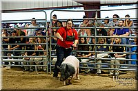 LCFAIR17-6465.jpg